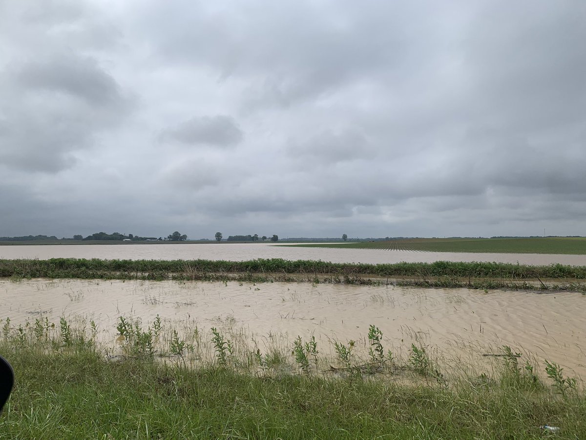 Torrential rains from locally heavy t-storms have resulted in > 4' of rainfall at our site 5 mi E of Henderson. This has led to flooding of low-lying areas & plenty of standing water in Henderson County, as seen by both our webcam and on either side of the Audubon Parkway. #kywx