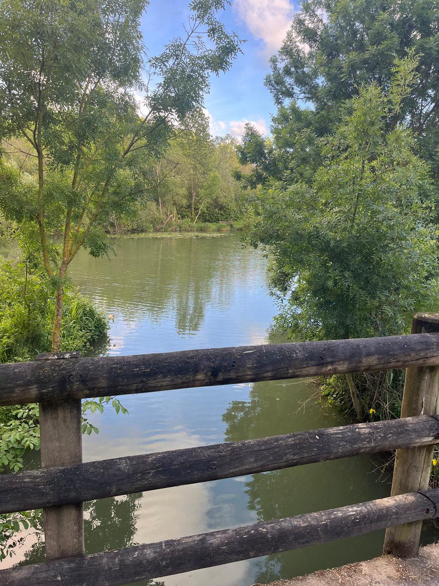 🙏 Gilles Gay, Vice-président du @pmaraispoitevin en charge de l’attractivité et de la communication pour l'accueil des membres du Bureau du Parc et la visite de sa commune. Aigrefeuille d'Aunis et son marais communal : une pépite de plus, parmi les 22 autres communaux du Parc