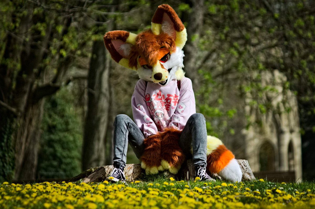 Feiro (@feiro602) on Twitter photo I'm really proud of how this photo of sugar turned out ><
Many thamkies to <a href="/ShinyKimiko/">Shiny✨Kimiko</a> for cooperation
(I just wanted her to stand into that bunch of dandelions, but she got the idea to elegantly sit on a tree stump like that <3) I'm really proud of how this photo of sugar turned out ><
Many thamkies to <a href="/ShinyKimiko/">Shiny✨Kimiko</a> for cooperation
(I just wanted her to stand into that bunch of dandelions, but she got the idea to elegantly sit on a tree stump like that <3)