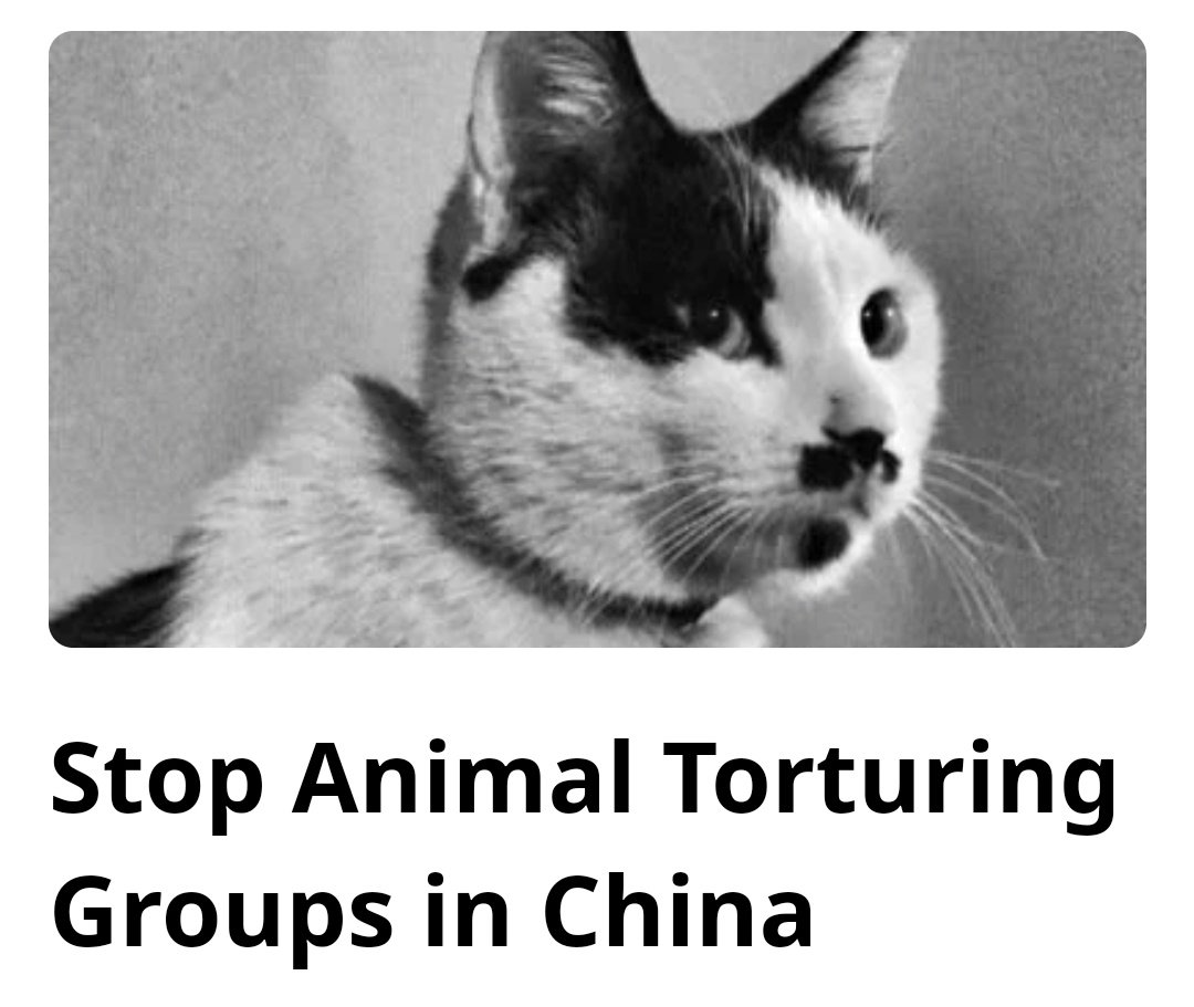 @SLM_0301 گروههای شکنجه حیوانات را در چین متوقف کنید.
#StopChinaCatTorture
#CatAbuserChina
#China