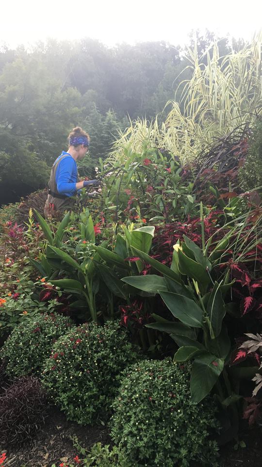 A few spots left in my Gardening Basics & Beyond - Maintain and Sustain Talk on Thursday 5/16 at 7pm *NOTE: This class is via Zoom. Afterward, a recording is sent to registrants. Fee: $15 Register at mdmontgomeryctyweb.myvscloud.com/webtrac/web/it… #gardenspeaker #gardening #BrooksideGardens