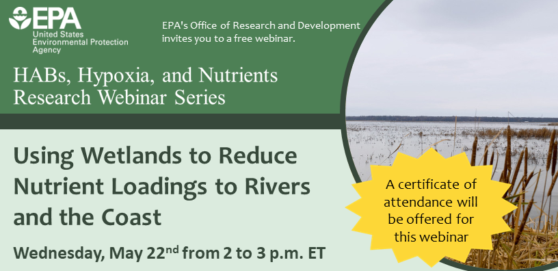 🎉May is American Wetlands Month!

Celebrate with us on May 22 at 2 pm ET for our newest research webinar about how wetlands can protect against nutrient pollution! 

Register: epa.gov/water-research… 

#WaterWednesday