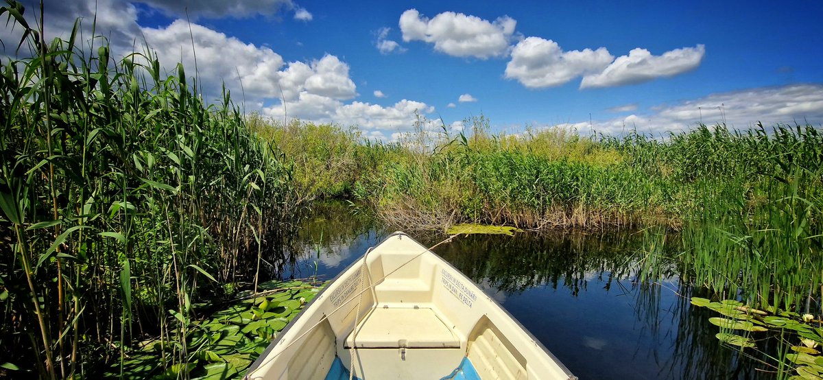 TouringRomania's tweet photo. Private Guided Tours in the Danube Delta, Romania ! 

https://t.co/UHMHilAKJC

#danubedelta  #birdingphotography #birdwatching  #wildelifephotography #wildlifetour #phototours #touringromania https://t.co/wu8MmYAnDh