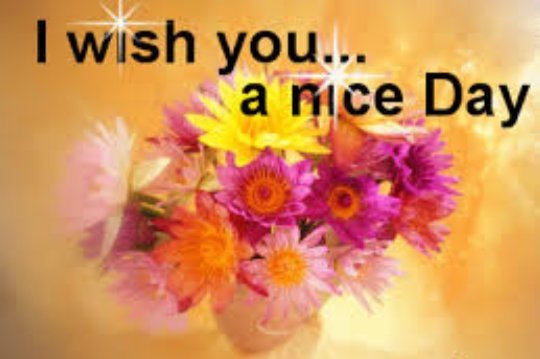 duddilingus's tweet image. By standing up for justice and equality, we can build a more just and 🤠 inclusive society for #HelloWorld everyone.