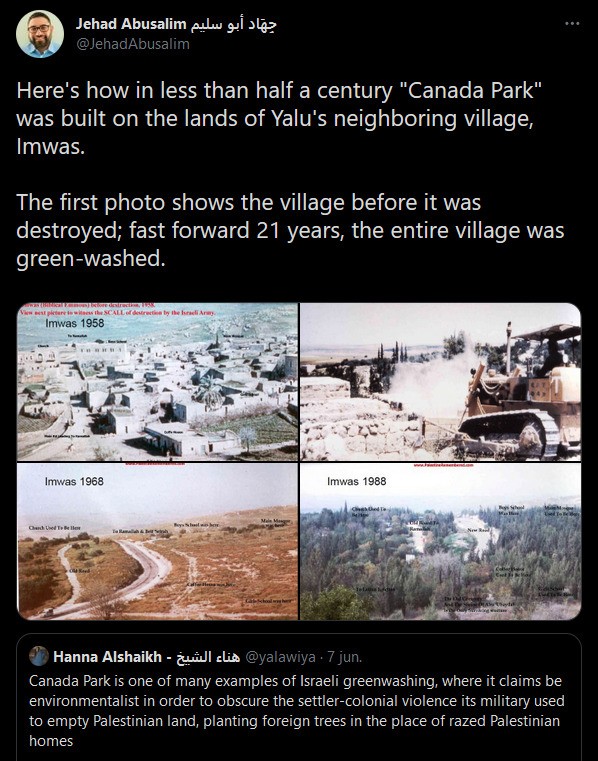 'pine trees have been planted on top of it, to conceal it' is not a metaphor. Israel plants forests of fast-growing invasive European pines to hide the ruins of ethnically cleansed Palestinian villages, and to launder a myth of 'a land with no people for a people with no land'