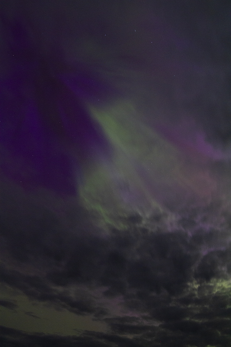 CountrysideBen's tweet photo. Late to the aurora party cos Braemar lost internet for 5 days...which was both annoying and nice, if I'm honest 😁 Red warnings typically entice me out the door for a cursory glance, with faint red to the north. But this was overhead and to the south, and was much clearer. https://t.co/SeBFwsLiXM
