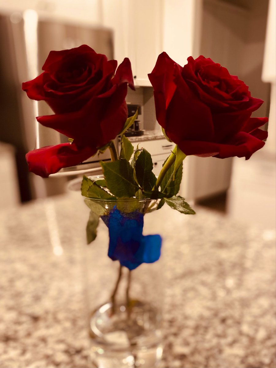 @AndiSwan22 #RoseWednesday #Rose given to me from my son🥰