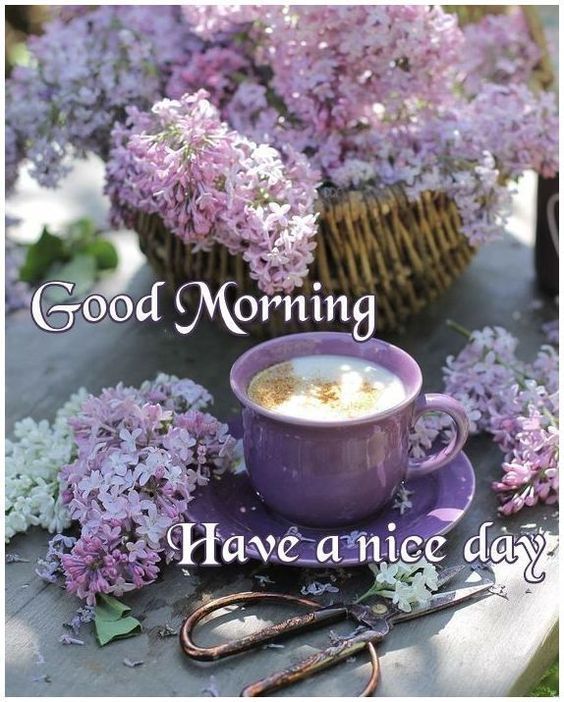 duddilingus's tweet image. The state of the 🤠 world is a reflection of our collective actions and inactions, #HelloWorld let's choose wisely.