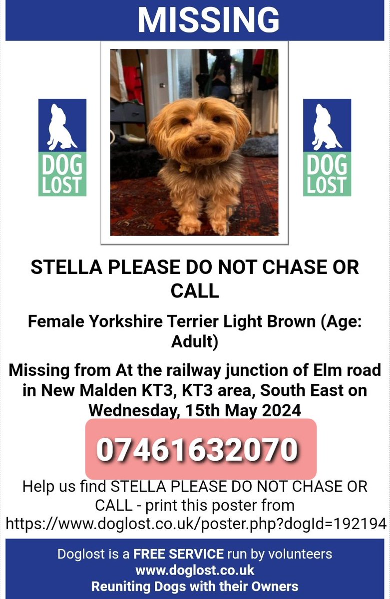🐕 HELP -- STELLA jumped out of a car window at the Elm Road train crossing New Malden #KT3 this morning 15 May 2024 Stella was seen on Kingston Rd in the bushes, where she jumped over a little wall & was PICKED UP by someone in a RED CAR. Stella has not been handed in by anyone.