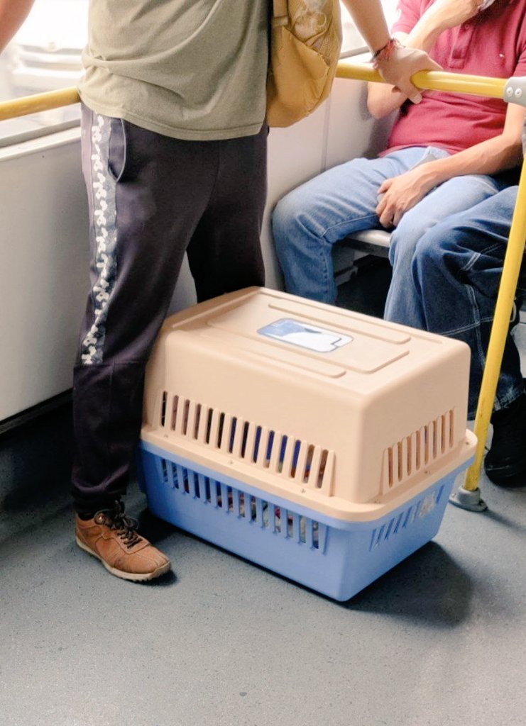 Recuerda que tus peludos también pueden viajar en #Metrobús 🚍

Por su seguridad siempre transpórtalo de manera correcta 🐶🐱❤️