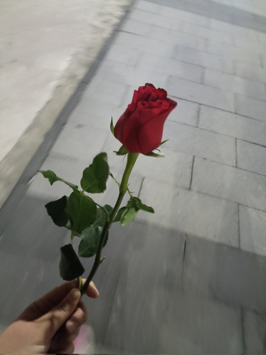 Kankamın gül alması şakamidur  .
Canım kankam 😘