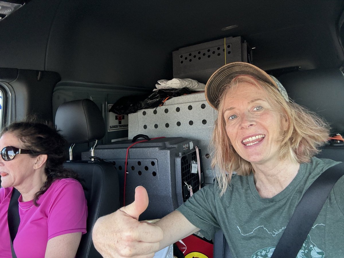 Ok everyone please 🙏 pray for our safety 🐾🙏 and the rescued pups on board. Texas to New York here we come!! #rescuetransport #dogs #livedogs #pray