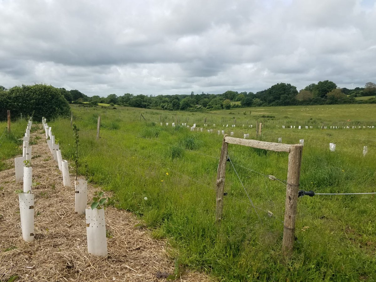 Voyage vélo🚴zéro carbone & biodiversité avec les élèves de spécialités SVT📷 du lycée #VeniseVerte @NiortAgglo
Jour 2 🗓️
🐴Visite de l'exploitation l'exploitation du lycée agricole de @VilledeMelle
➡️Agroforesterie, agroécologie et gestion des écosystèmes