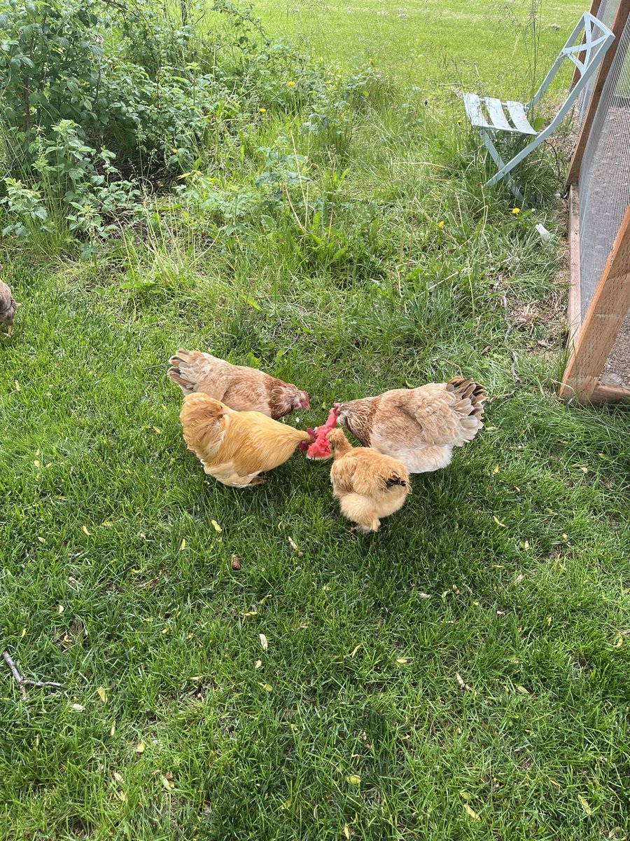 paiguin's tweet image. nnmmm’…. Melon