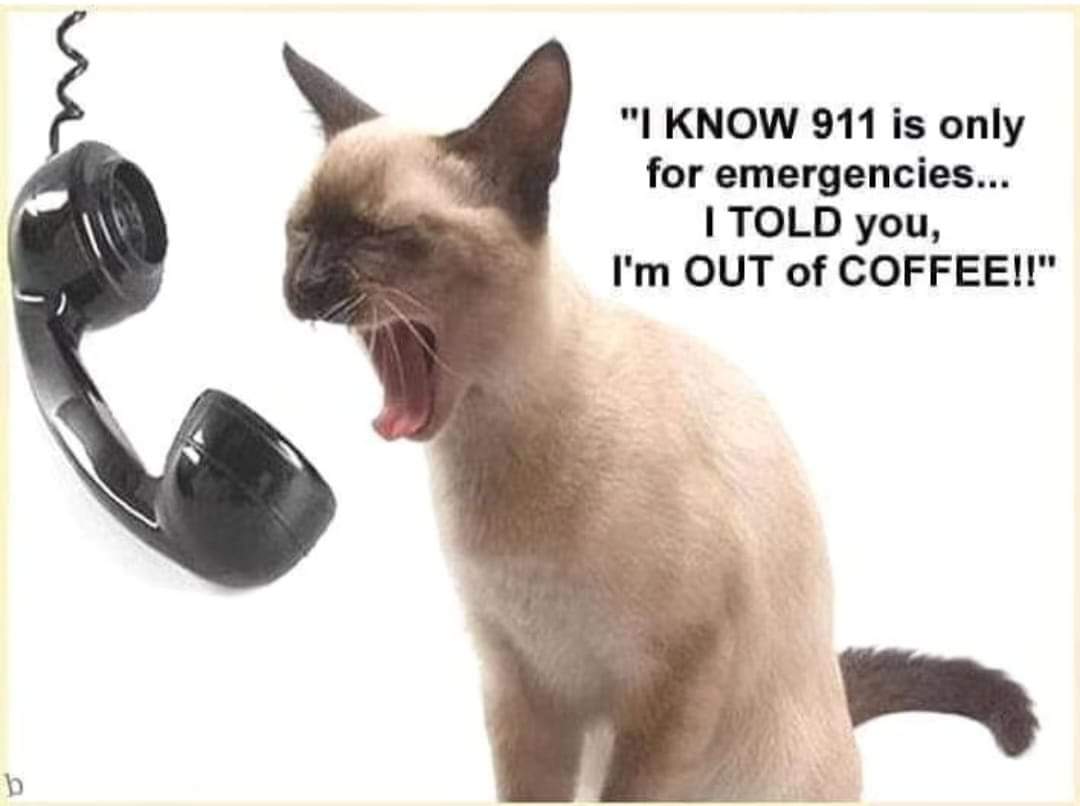 'IT'S AN EMERGENCY‼️' #outofcoffee #canyouhearmenow #nocoffeenoworkee