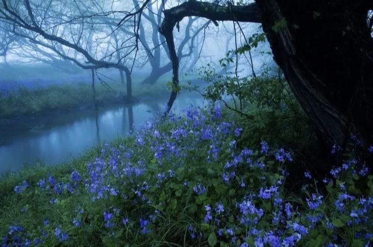 violet✧*｡ tweet media