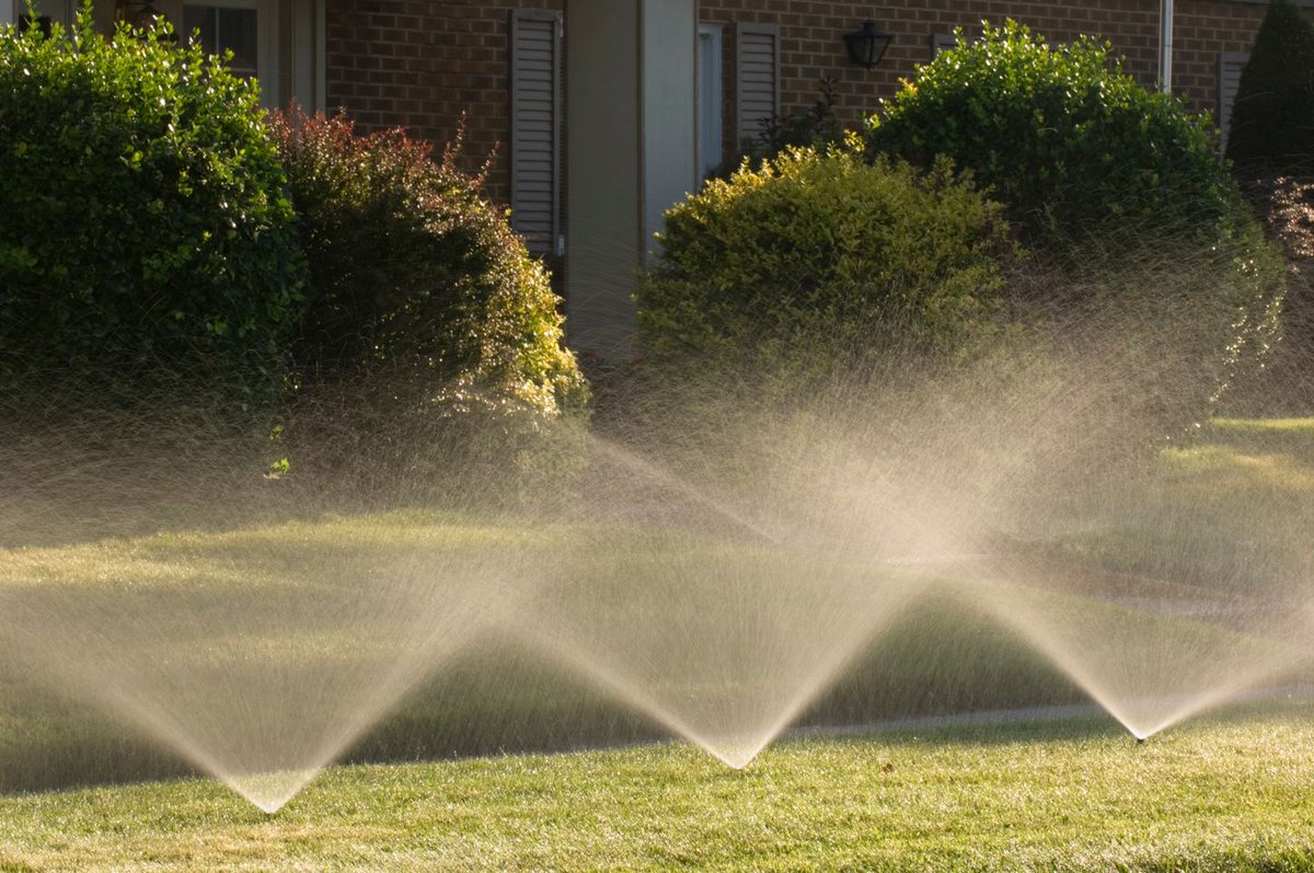 Summer is approaching. With excessive heat, heavy rainfall, and even some drought conditions, your lawn’s health could be at the mercy of summer weeds, pests and diseases. 

Enjoy early summer savings!
masseyservices.com/offer/hpo-may-…