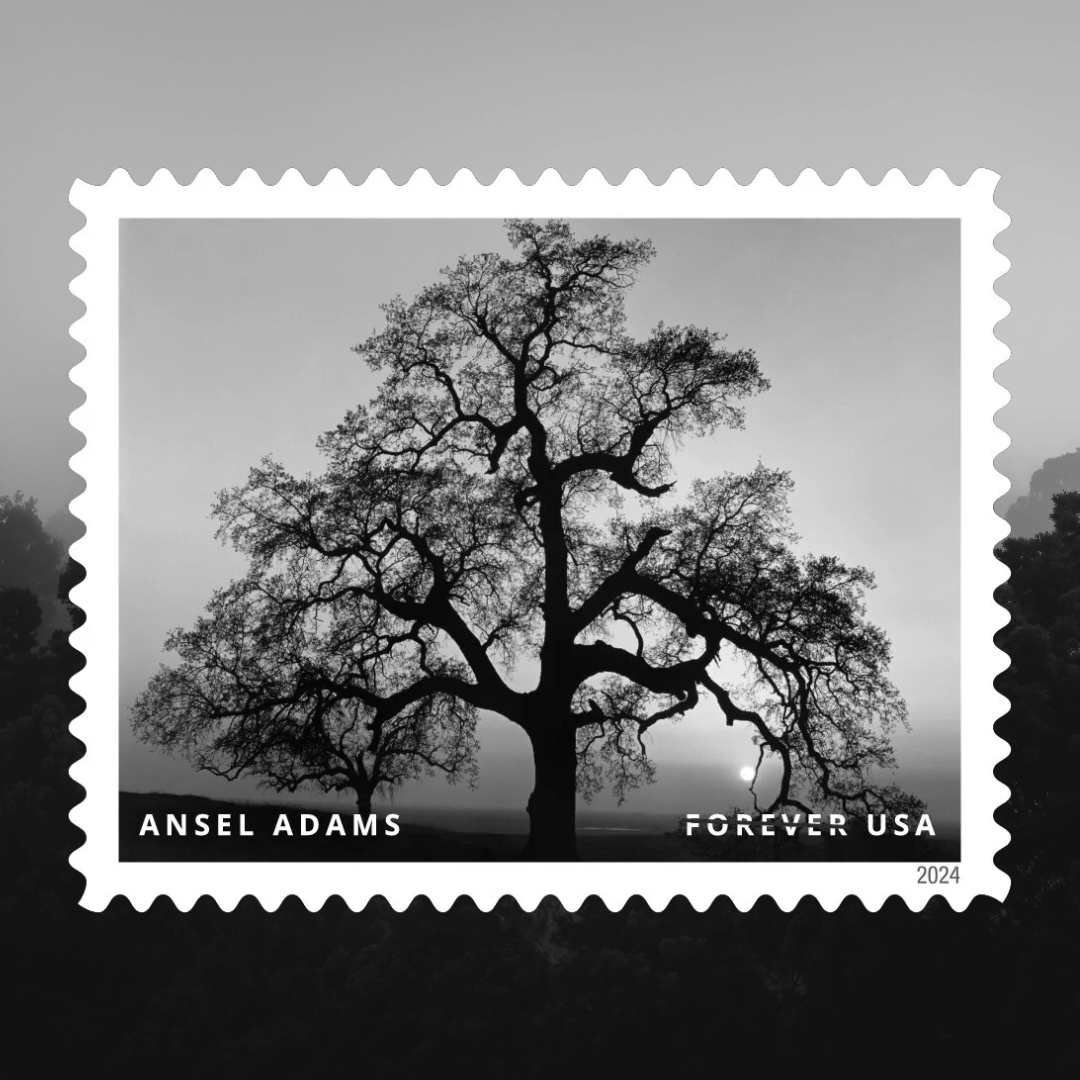 Today the Postal Service issued a new set of Forever stamps featuring iconic black and white landscapes by photographer, Ansel Adams. Read more: ow.ly/GjL850RHz6I #philately #stampcollecting #postagestamps #usps #anseladams