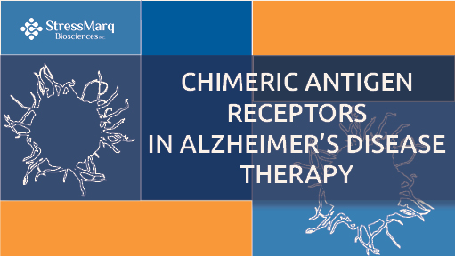 Chimeric antigen receptor macrophages (CAR-Ms) were able to reduce Aβ plaque load in #Alzheimer's disease. StressMarq's #AmyloidBeta Oligomers, PFFs & Peptide (SPR-488, SPR-492 & SPR-485) played a key role in the research findings.

Read the new blog! 🧠 bit.ly/3wN8u6W