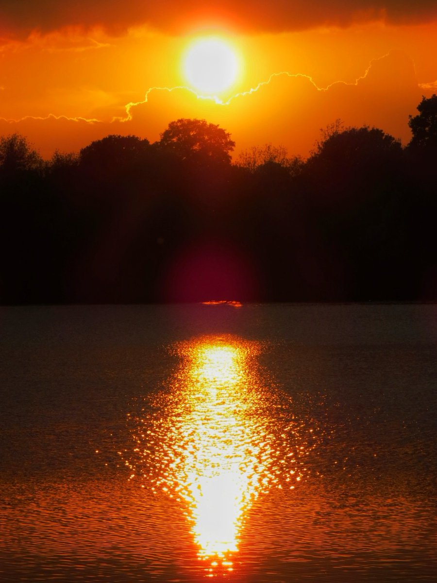 Golden hour sun shining over Seeswood Pool tonight
@StormHour @ThePhotoHour #loveukweather