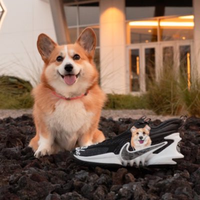 Pancake Gustafson tweet media