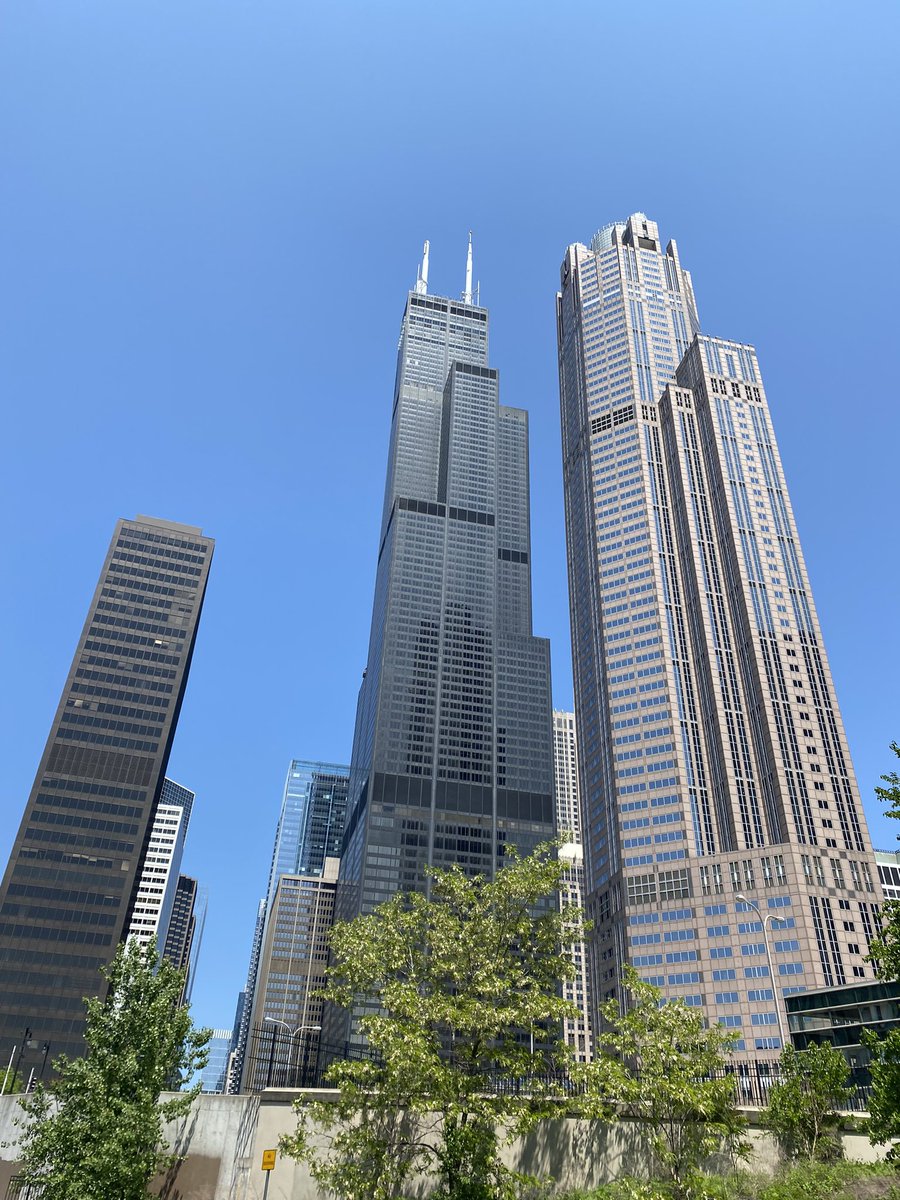 Mrs. Emily Joseph tweet media