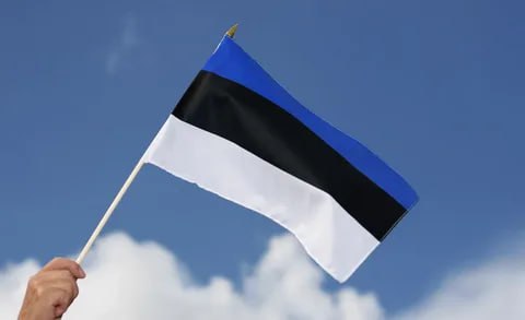 Estonia passed a law allowing Russian assets to be sent to Kyiv

This was reported on the website of the Estonian Parliament. 65 members of the legislative body voted for the approval of the bill, 3 voted against.

The law will legalize the use of approximately €37 million of