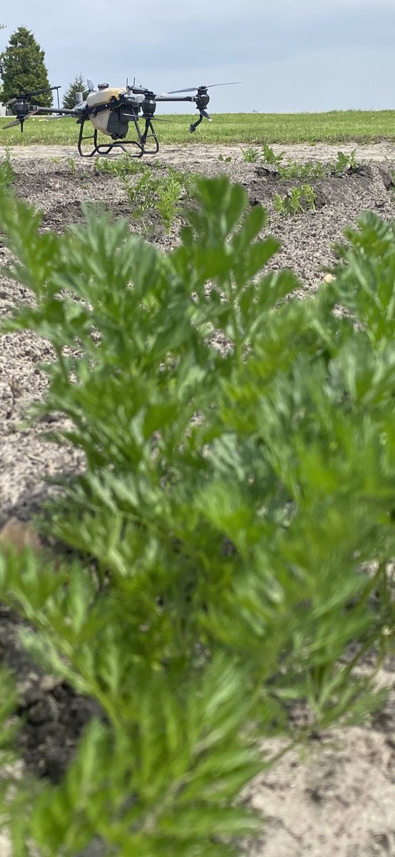 BryanSten3's tweet photo. Gotta love when the weather cooperates! Lots of activity happening across the South today. A lot of good looking crops enjoying our @NutriAg product lineup and recommendations driven from #nutrianalytics platform. #ontag #fromthefield https://t.co/tqhjvWSxwA