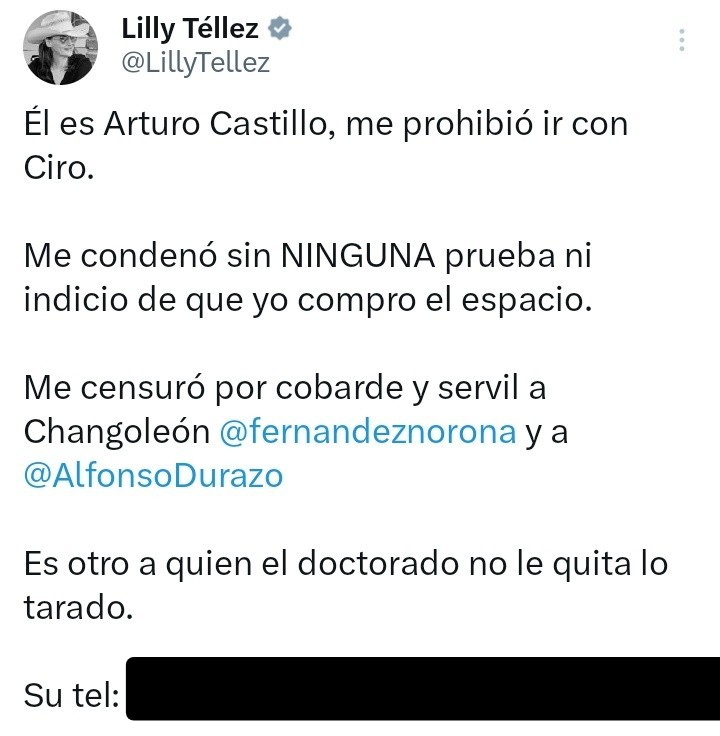 Exijo públicamente al @INEMexico y al @TEPJF_Informa que le retiren la candidatura plurinominal a la traidora Lilly Téllez... por hacer públicos los datos personales del Consejero Electoral Arturo Castillo, para que sea amenazado. ¡Téllez no puede estar por encima de la ley!