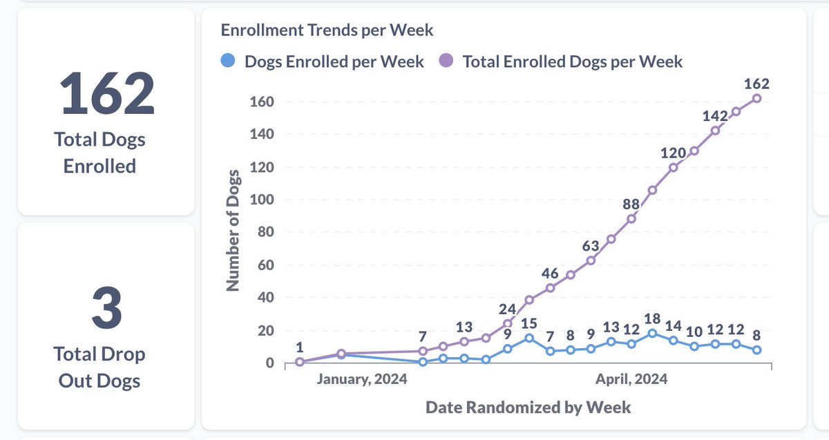 162 dogs enrolled in STAY (LOY-002 lifespan extension pivotal study) !! We're actively enrolling nationwide for dogs 10 years+, 14lbs+ --> learn more and register interest here loyalfordogs.com/clinical-trials