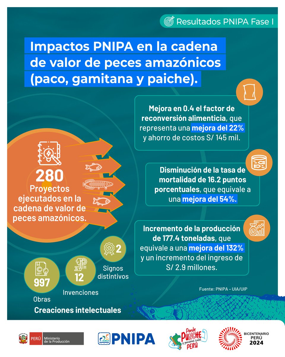 🐟 El PNIPA logró incrementar la productividad y la competitividad en la cadena de valor de peces amazónicos, ha cofinanciado 280 proyectos, invirtiendo S/ 37.2 millones y beneficiando a 16 188 personas.
🙌 Se ha fortalecido la seguridad alimentaria y empoderamiento de la mujer.