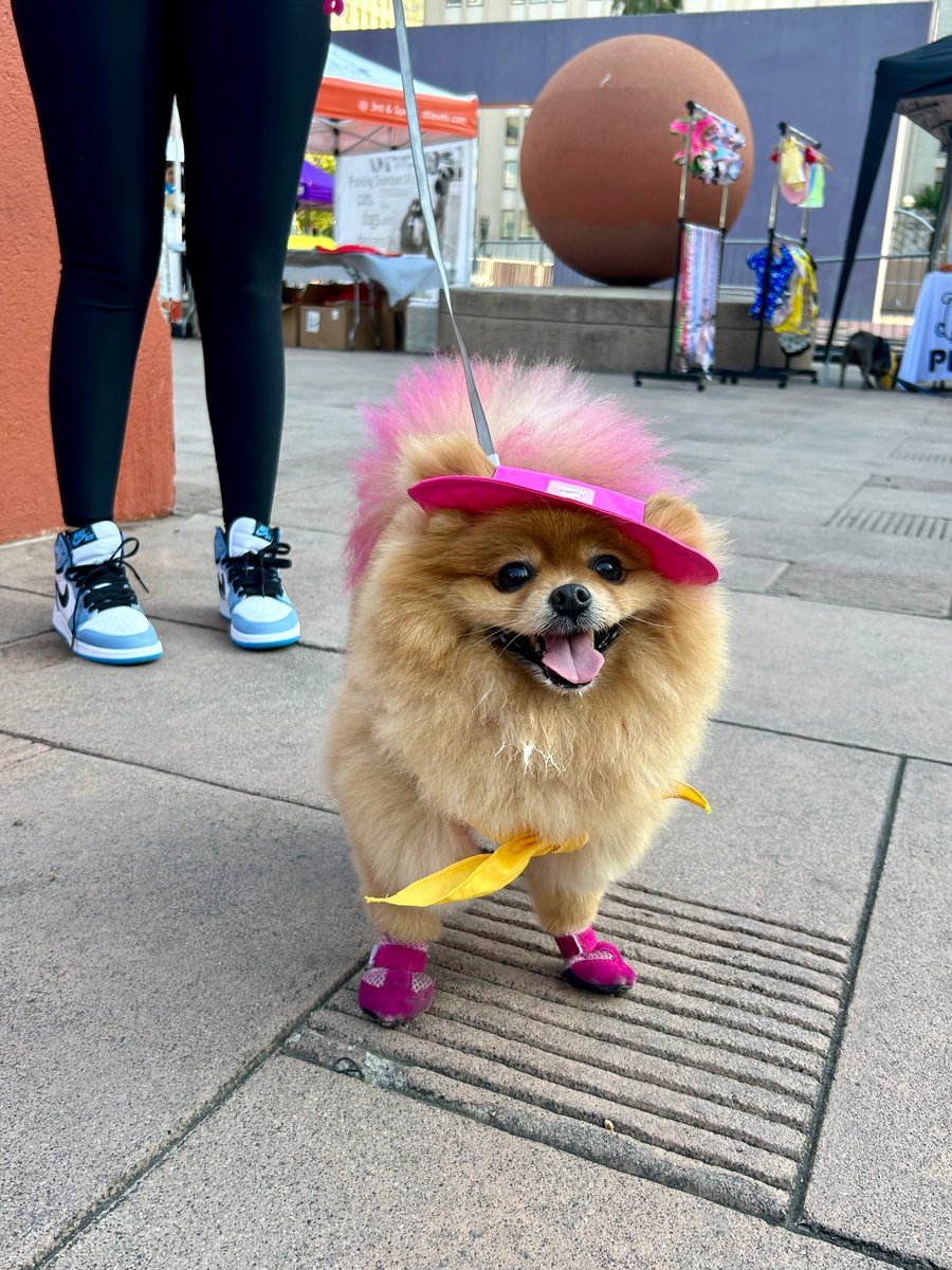 Downtown's two-day, tail-wagging extravaganza returns! DTLA Dog Days at Pershing Square is FRI 6/14 & SAT 6/15 with new events like Puppy Yoga, local vendor marketplace, free dog caricatures & more! Get your Puppy Yoga ticket before it sells out! 🐶 downtownla.com/dogdays 🐕