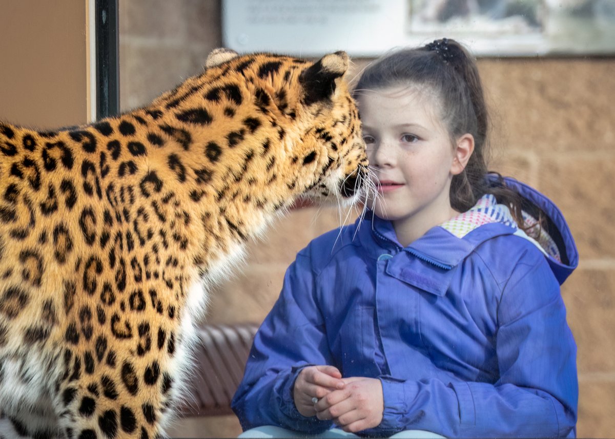 Join us on Saturday, May 18, as we bring attention to some of the endangered species here at the Phoenix Zoo with Keeper Chats throughout the morning. Plan your visit: phoenixzoo.org/events/endange…