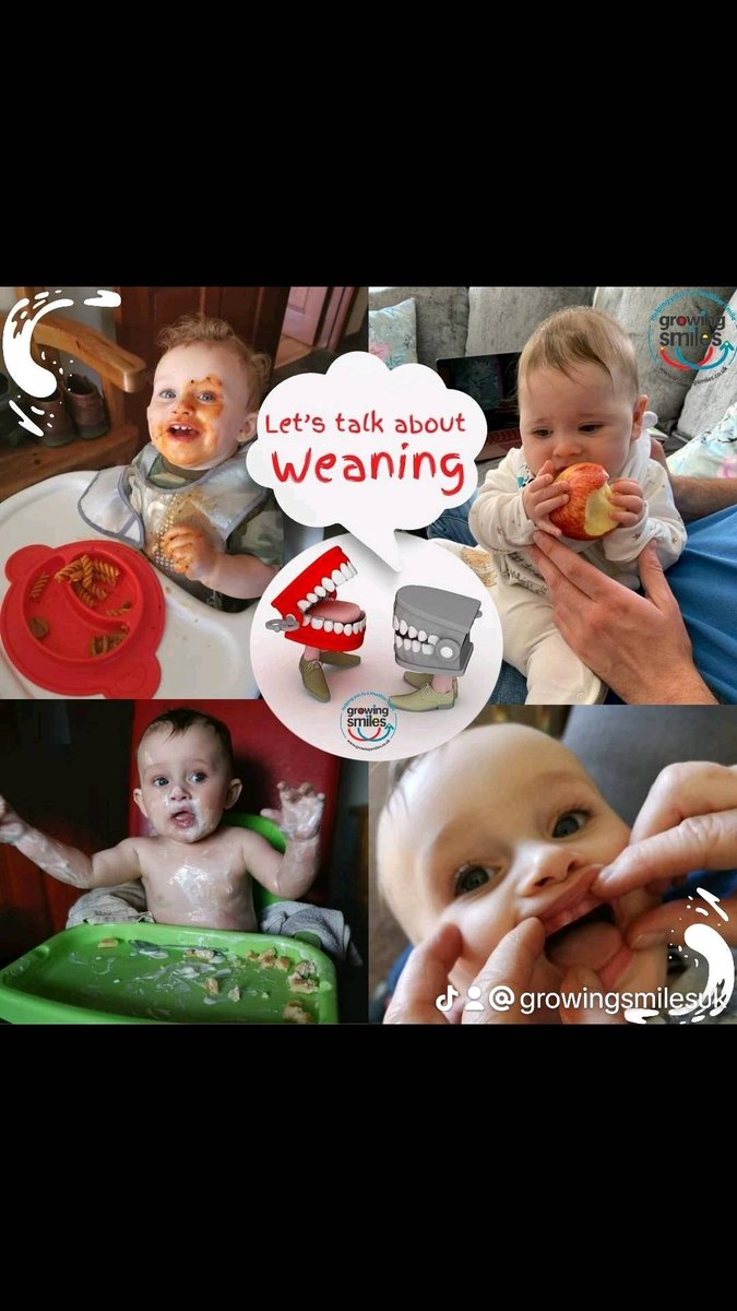 A couple of baby milestones happen around 6 months of age. Weaning and the arrival of baby's first tooth. Talking Teeth Thursday Join oral health coach LeighGS live at 7pm FB and let's talk about weaning and oral health. #babyteeth #weaning #nationalweaning #babysmiles