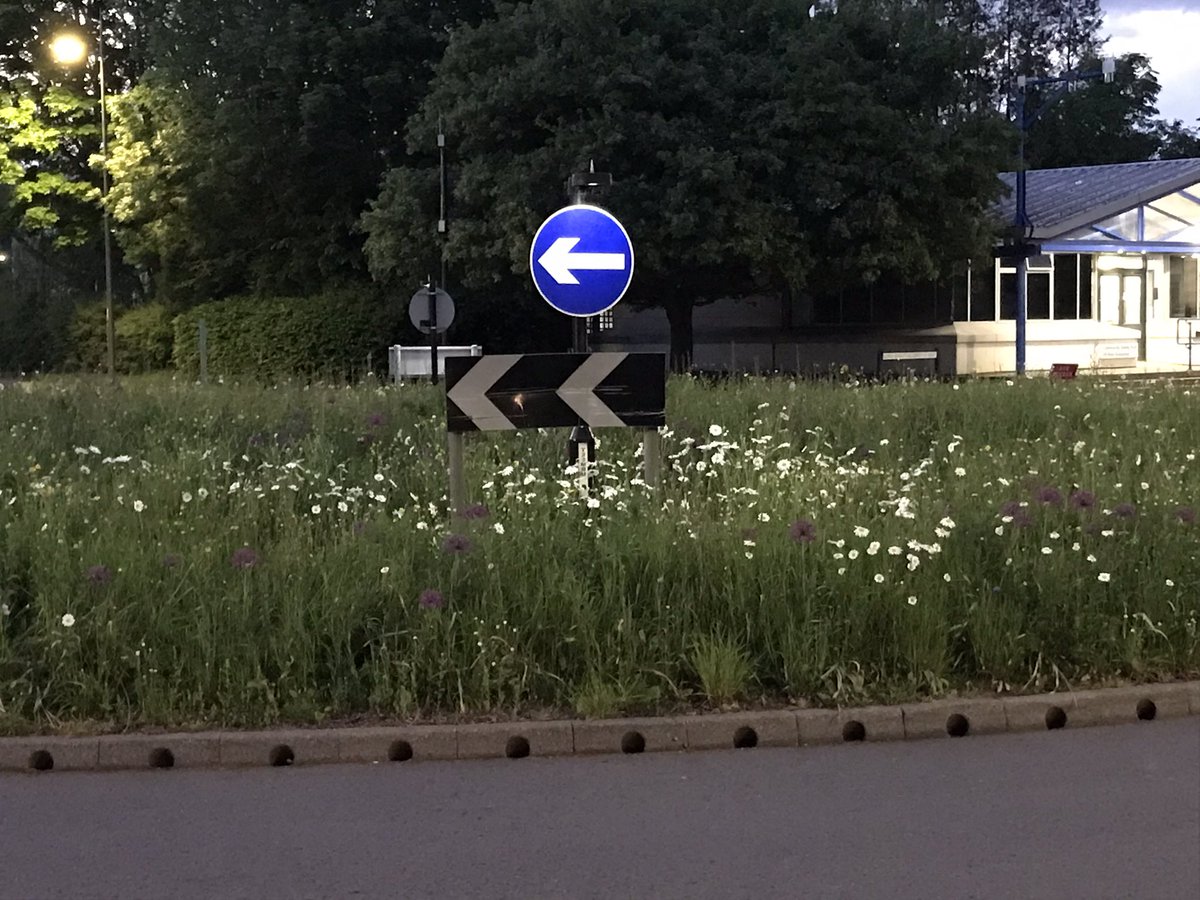 Well done @uniofwarwick for all your floristic “naturalistic” plantings around the campus. I am particularly impressed with the bands of cut areas within large blocks for species that benefit from short turf e.g. mining bees.