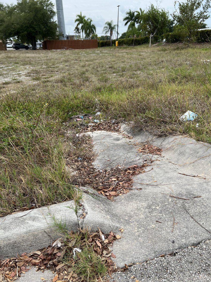 Joe Ffitch tweet media