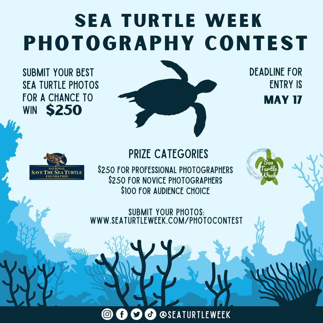 There's still a few days left to enter the annual Sea Turtle Week Photography Contest!

Submit your images at seaturtleweek.com/photocontest for a chance to win up to $250 USD!

The contest is open internationally to entries from all countries!