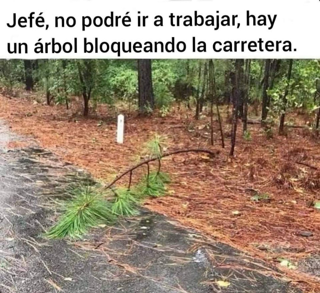 Esto si que es una tragedia !!!! 🤣🤣🤣🤣🤣🤣