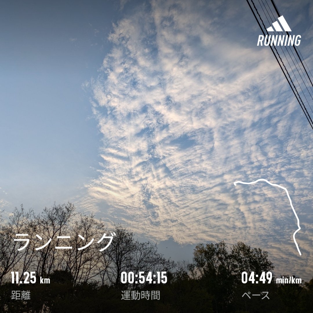 明日は雨予報なので、今日は強度を上げてキロ５分切りで11km🏃
体の動きはいい感じで👍
空が秋みたいなんだが…。
木曜日、今日もしっかりやって行こう🤗
#朝ラン #朝活 #ランニング #天気いいと最高だ