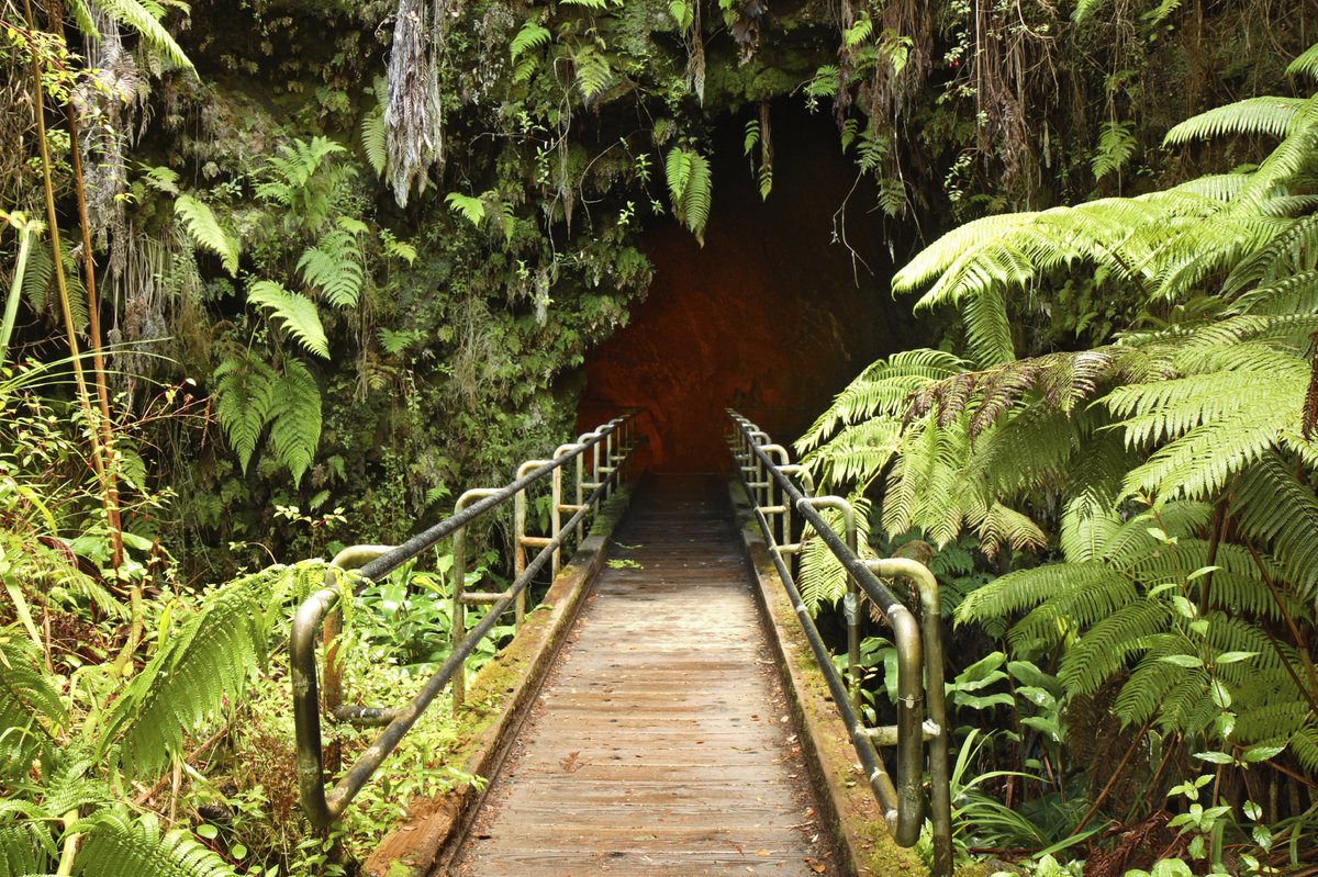 Asian Americans, Native Hawaiians, and Pacific Islanders have contributed and shaped the rich heritage of the United States in countless ways. Explore some of the projects supported by NPF that help preserve and share these stories in national parks: nationalparks.org/theme/asian-am…