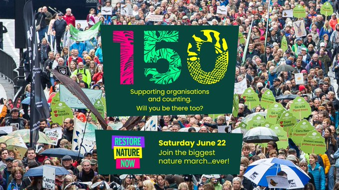 .@DaveGoulson @paulpowlesland @insectweek Join UK's largest nature march on June 22 in London! 📆 Support urgent action with over 150 groups to address wildlife decline, pollution, & climate impacts. Volunteer, march, & demand to #RestoreNatureNow Will you be there too?