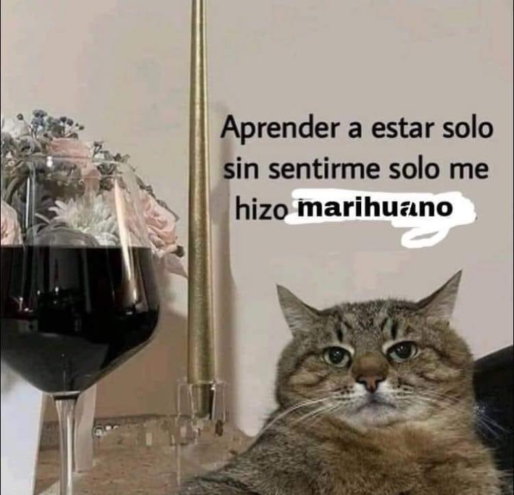 El Paragua Venenoso tweet media