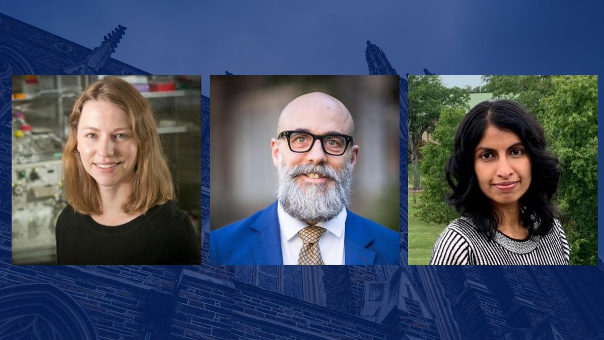 ICYMI: Congratulations to the latest cohort of Trinity faculty members named @DukeU Bass Fellows for excellence in undergraduate teaching & research! ⭐️ Emily Derbyshire (Chemistry) ⭐️Craig Rawlings (Sociology) ⭐️@AarthiVadde (English) Meet the honorees: duke.is/y/45ge