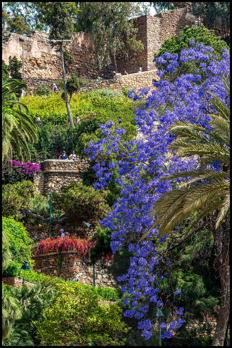 Málaga. @turismodemalaga @OrgullodeMalaga @MalagaEnamorada @vivecostadelsol @viveandalucia @feelcostadelsol @EnamoradaMalaga @mlgmonumental @serdemalaga @Storm_Malaga @Eltiempoalsur @serdemalaga @Malagaconacento