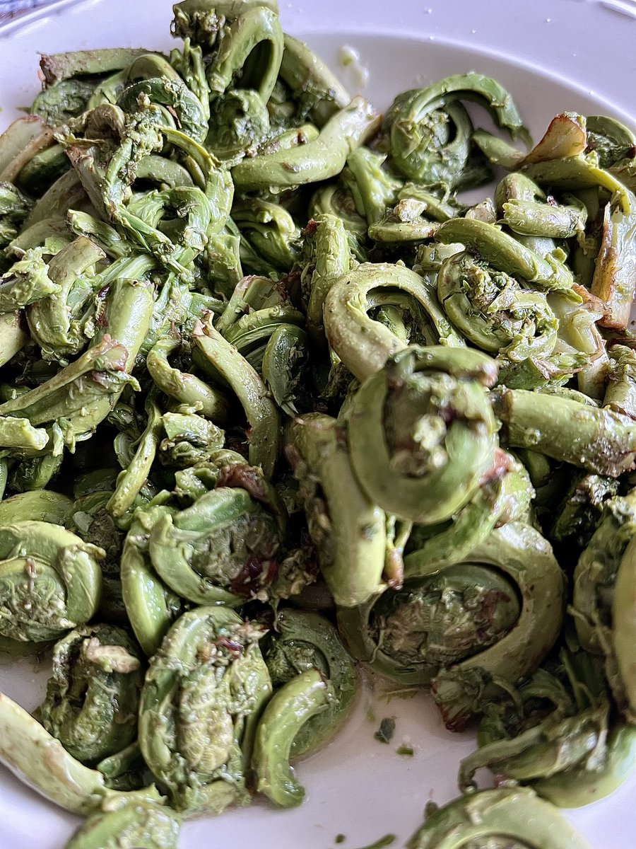 Paddy Quinn tweet media