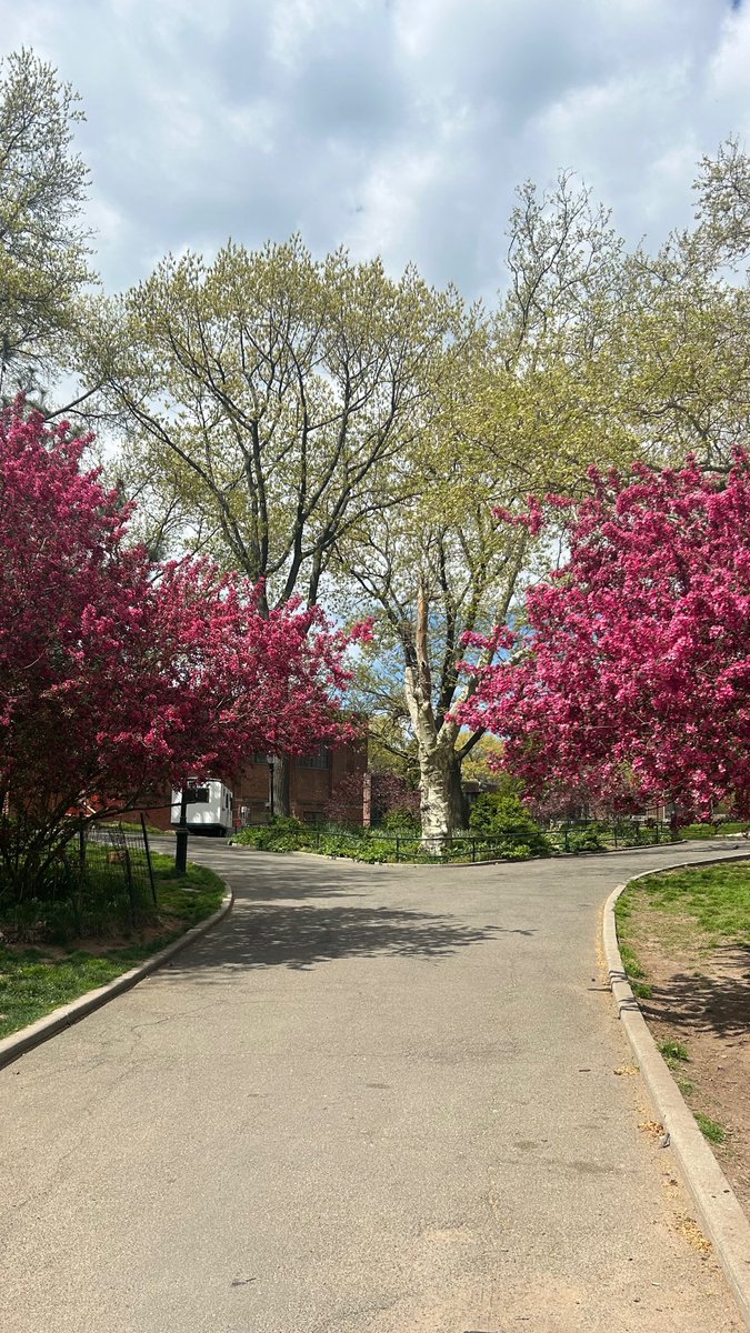 Happy Spring🤍🌸 can you guess which NYC park this is?