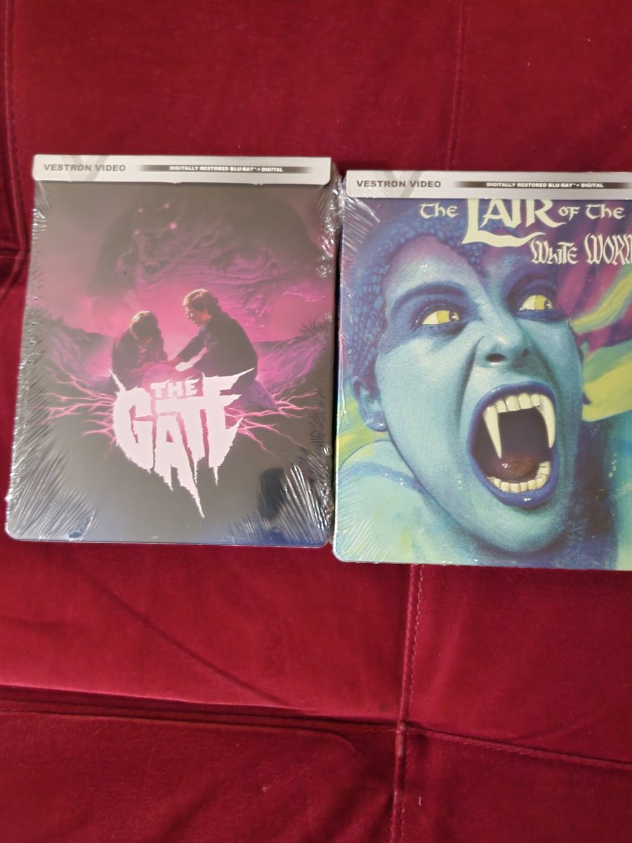 DaveBThyName29's tweet image. Our local Wal Mart stepped up their game and has a full display of nothing but steelbooks. Probably over 50 titles. I settled on these 2. 🕳 🐍🪱
#PhysicalMedia #Steelbooks #VestronVideo