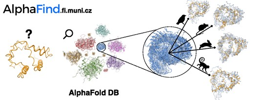 AlphaFind: discover structure similarity across the proteome in AlphaFold DB academic.oup.com/nar/advance-ar…

---
#proteomics #prot-paper