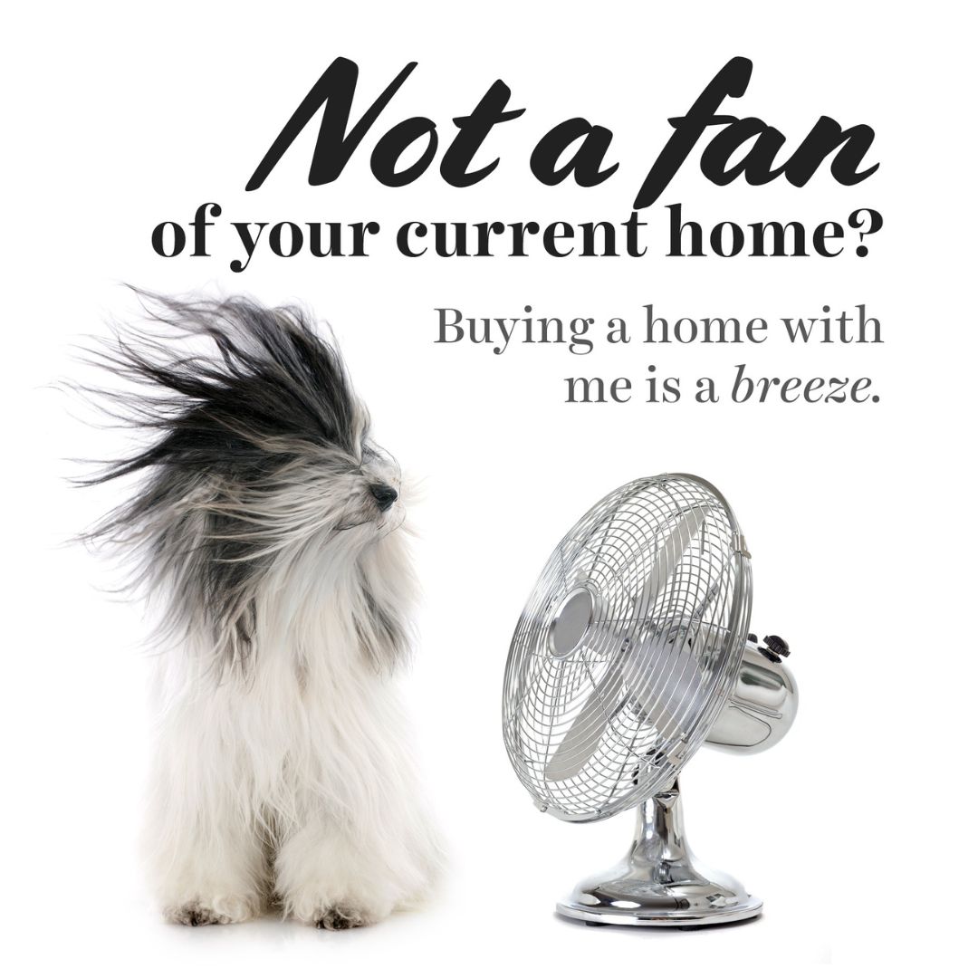 It’s okay if you’re not a fan of your home. Let’s find you a place you’ll stop sweating over and finally feel relaxed in.

#homebuying #houseforsale #homeforsale #newhome #dreamhome
#insta #RealEstate #Home #gsoldanorealtor #GreaterBoston