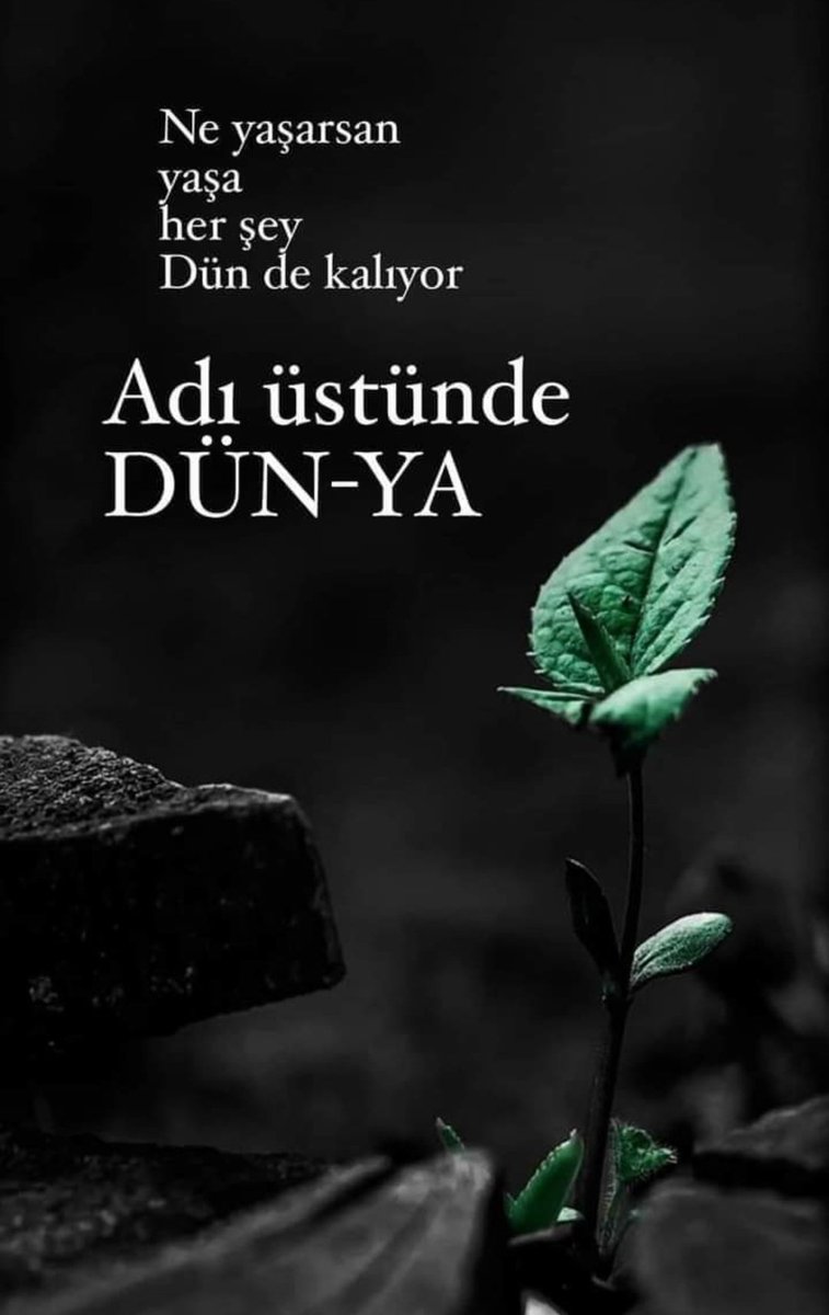 'Diyelim ki; (iyi niyetli olmak) bize hep kaybettirdi, Peki (İki yüzlü olmak) size ne kazandırdı'🤔 #Geceye Soru&Yorum Hayırlı Geceler 🙋‍♂️